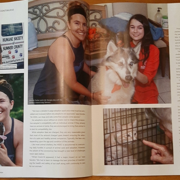 Updated: Why I Posh 🐶 🐈 - Picture 4 of 11